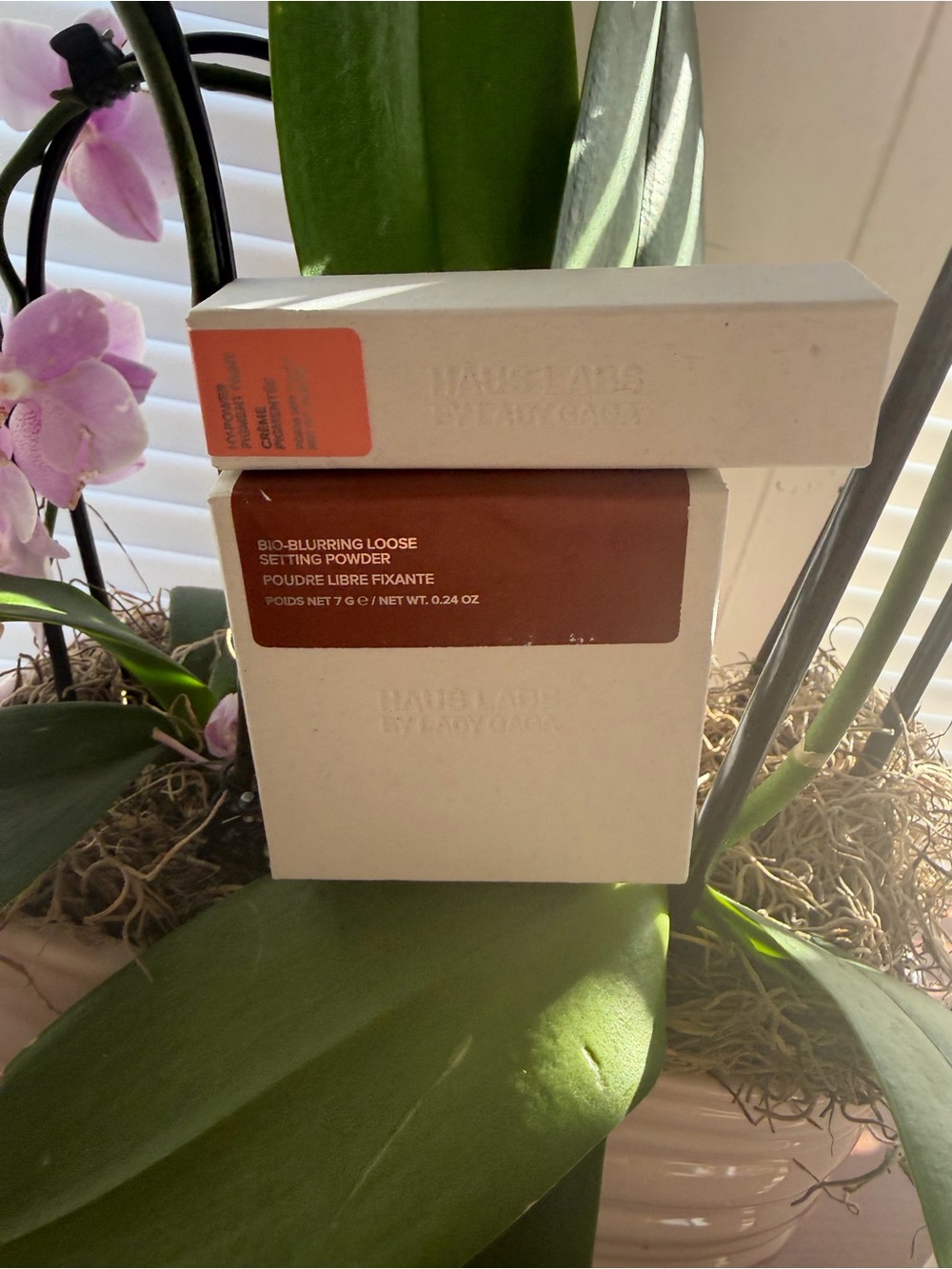 laura mercier loose setting powder - warm beige / cream packaging